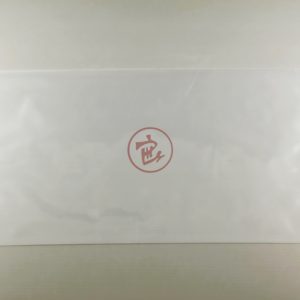PP Bags with Holes (8 x 22)